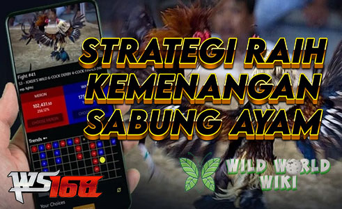 Sabung Ayam WS168