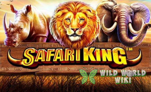 Safari King