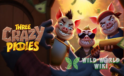 Three Crazy Piggies