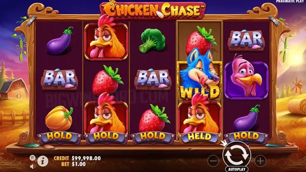 Chicken Chase