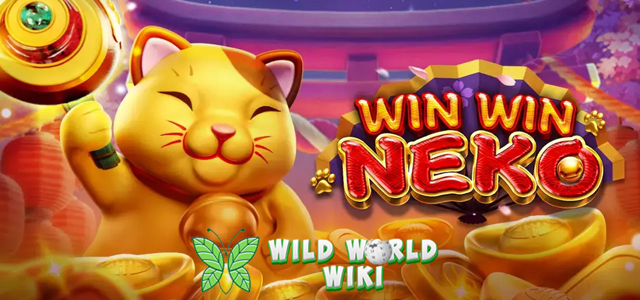 Win Win Neko FaChai