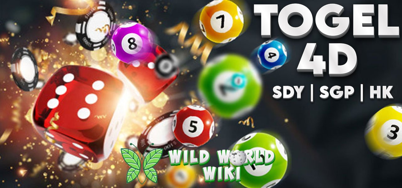 Prediksi Togel4D Hari Ini