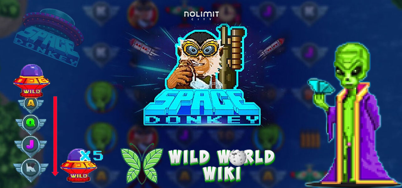 Space Donkey NoLimit City