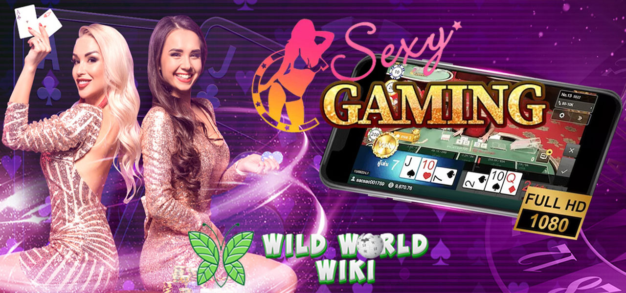 Sexy Gaming Live Casino