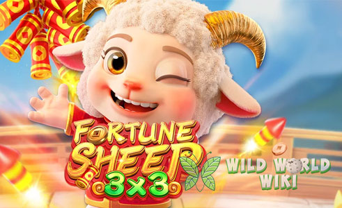 Fortune Sheep