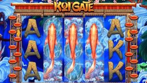 Koi Gate Habanero