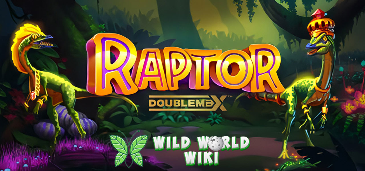 Raptor Doublemax Yggdrasil Gaming