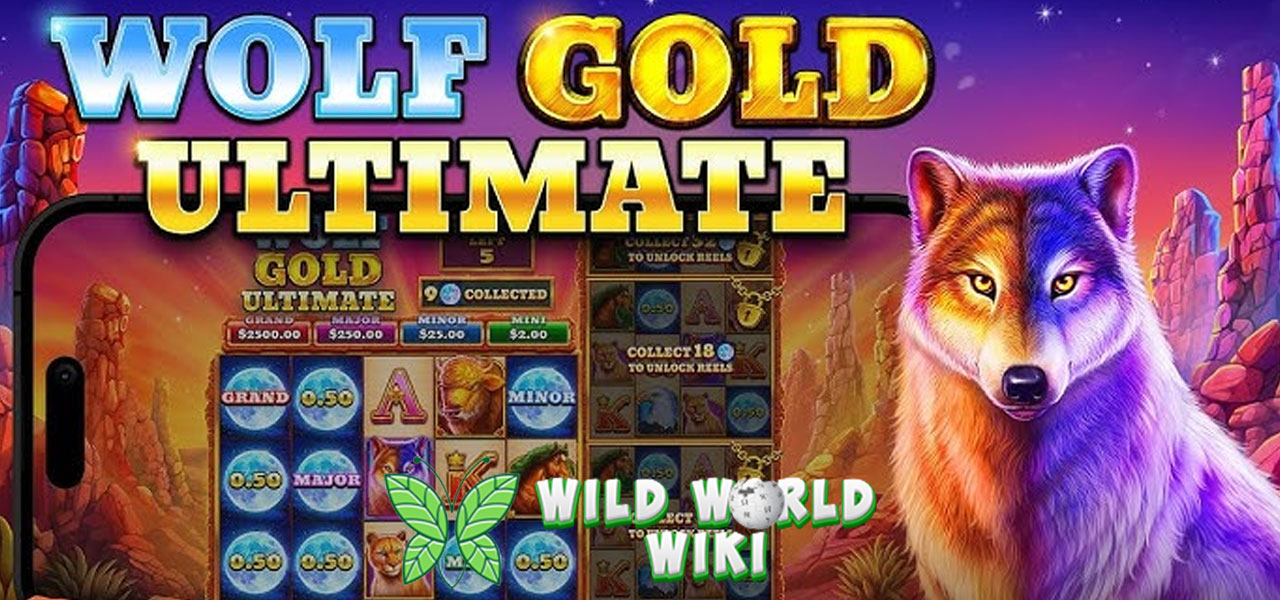 Wolf Gold Ultimate