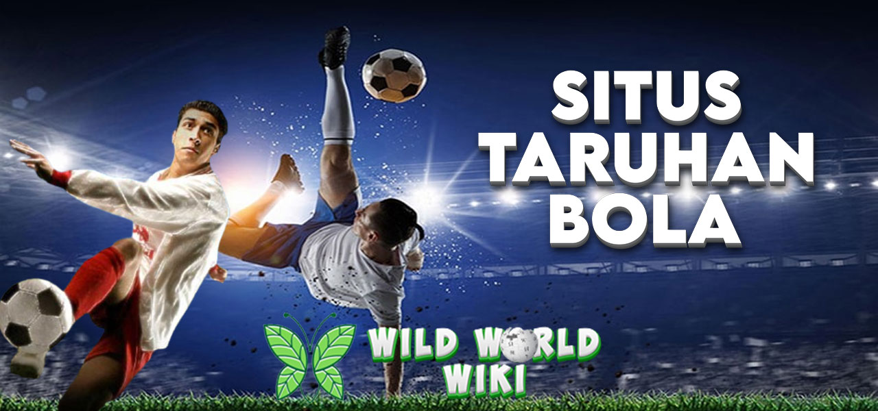 Situs Taruhan Bola