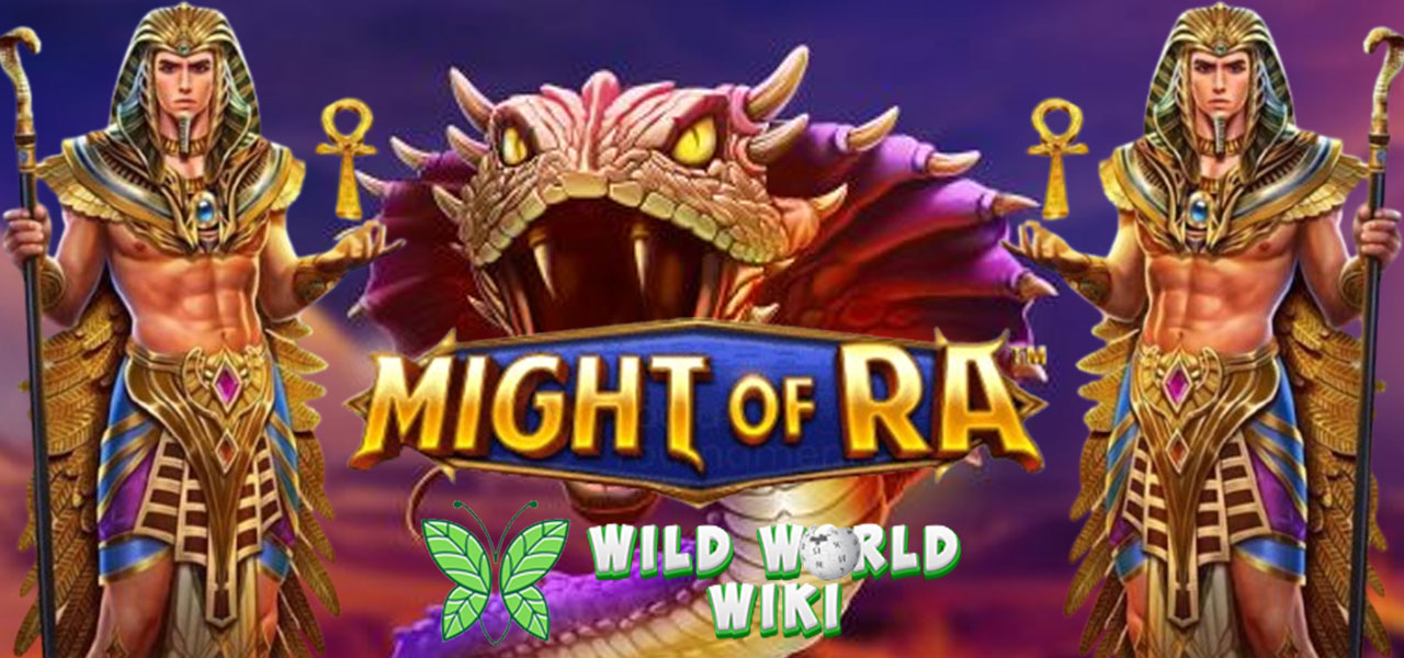 Might of Ra Pragmatic Play