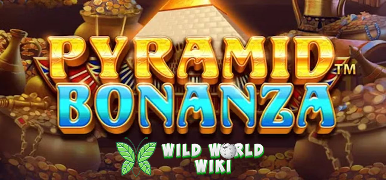 Pyramid Bonanza Pragmatic Play