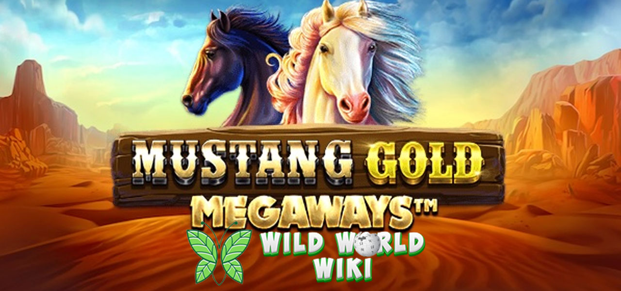 Mustang Gold Megaways pragmatic play