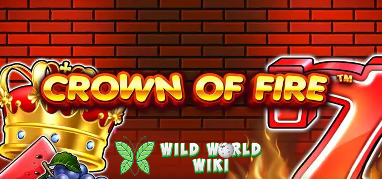 Crown of Fire: Api Membara di Mahkota, Rezeki Panas Menanti!