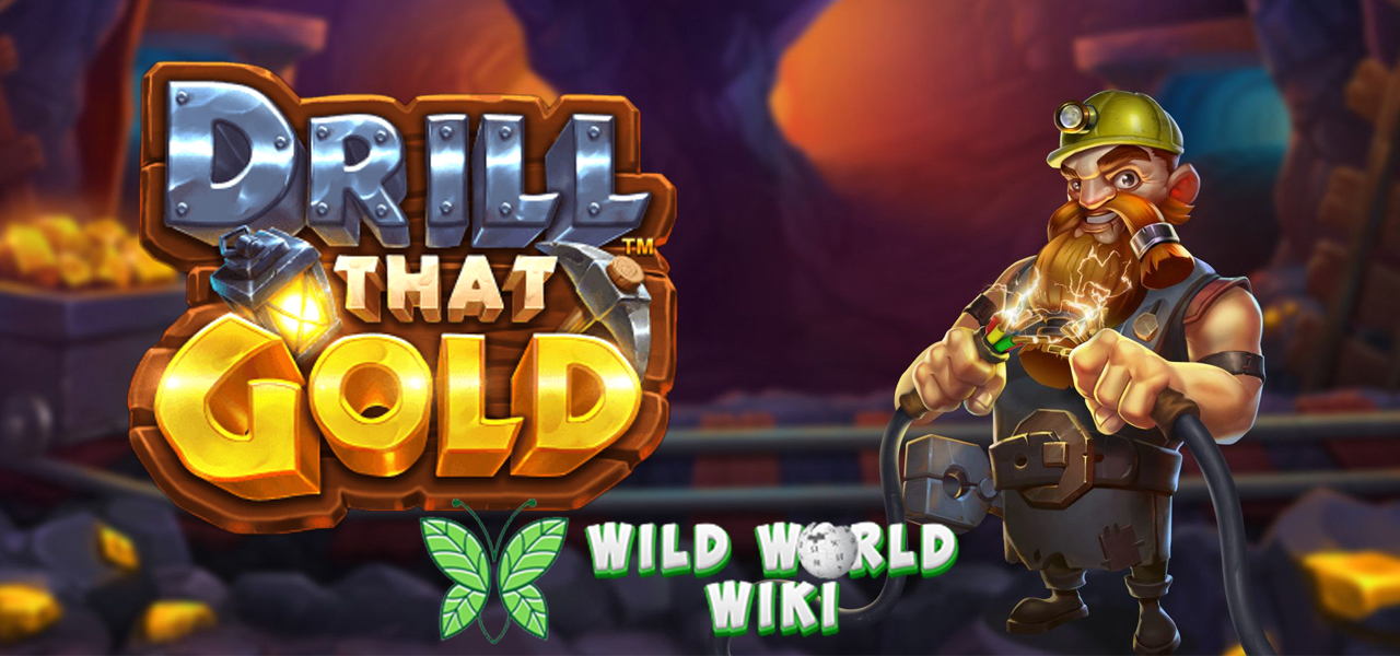 Drill That Gold: Bongkar Harta Karun dengan Bor Emas di Goa!