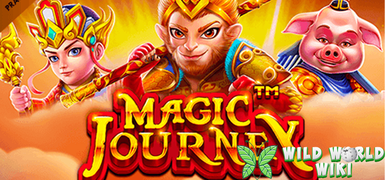 Magic Journey: Saksikan Keajaiban di Setiap Langkah Perjalanan!