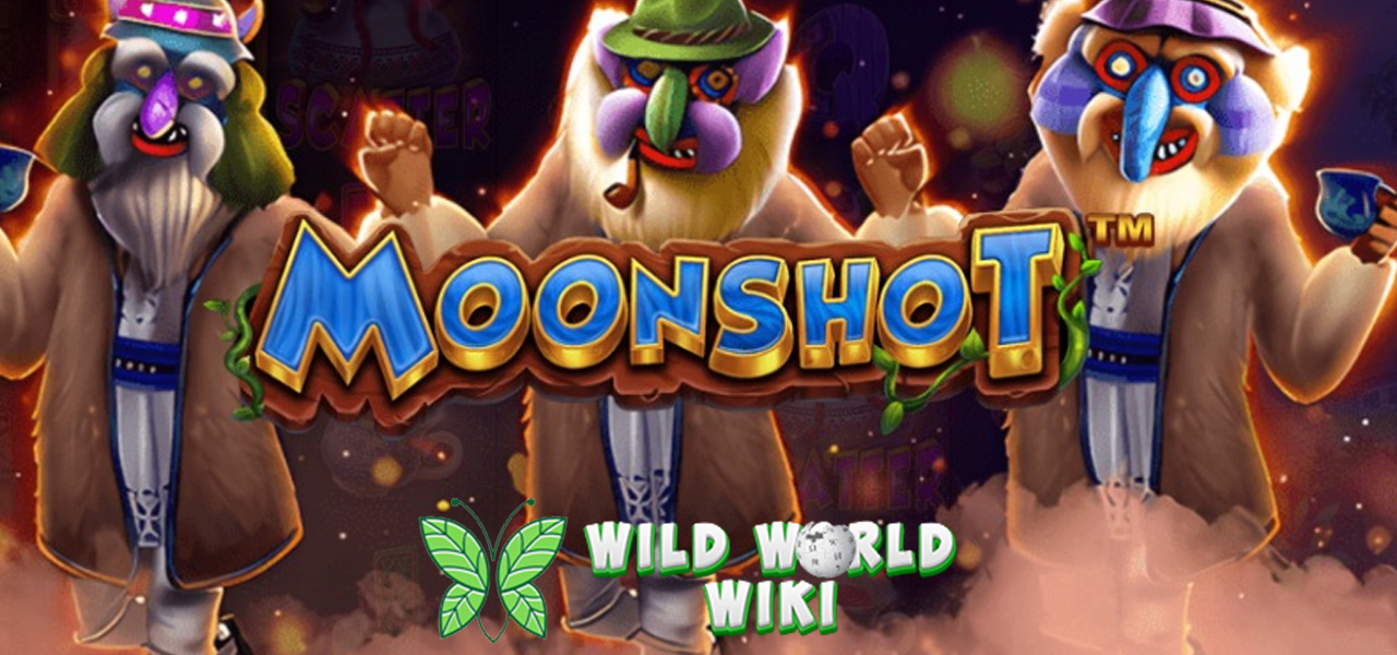 Moonshot: Misi Ambisius Raih Grand Prize di Antariksa!