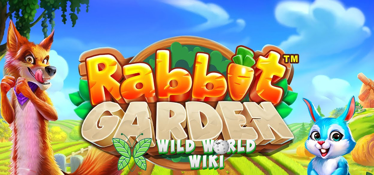 Rabbit Garden: Panen Wortel dan Hadiah di Kebun Kelinci!
