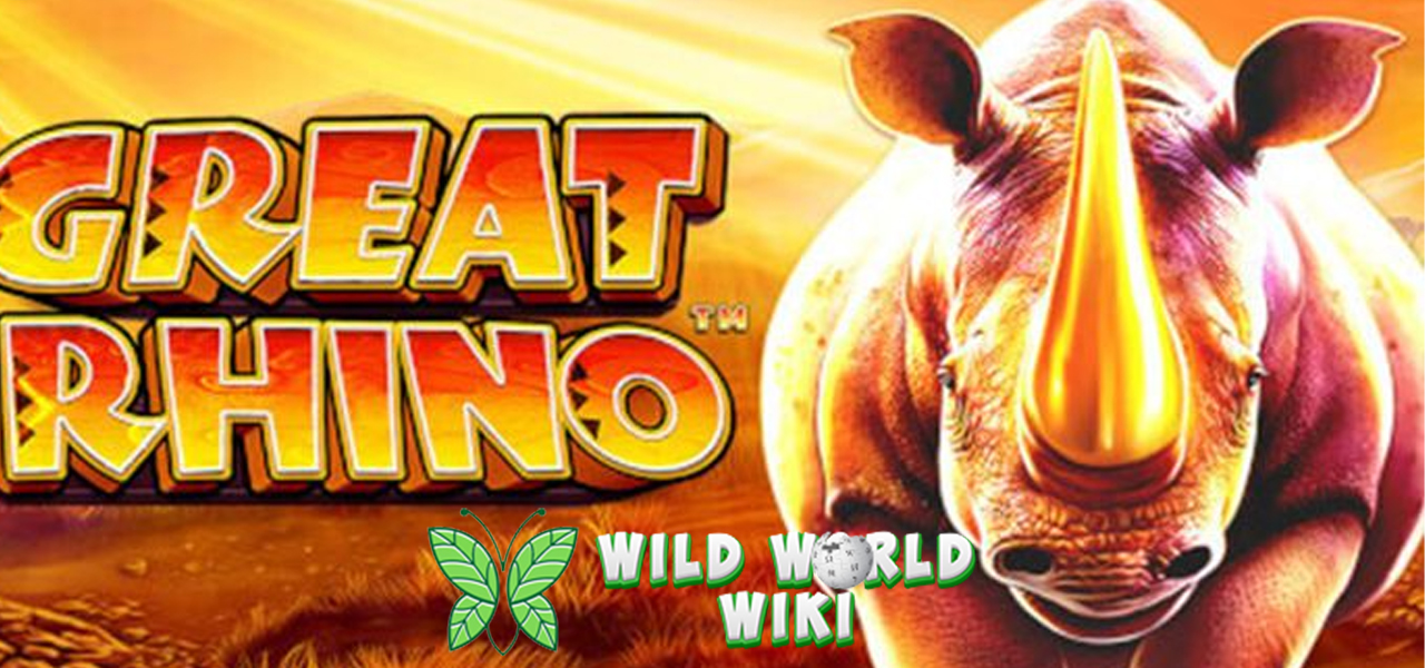 Dapatkan Pengalaman Bermain Slot Terbaik Hanya di Great Rhino!