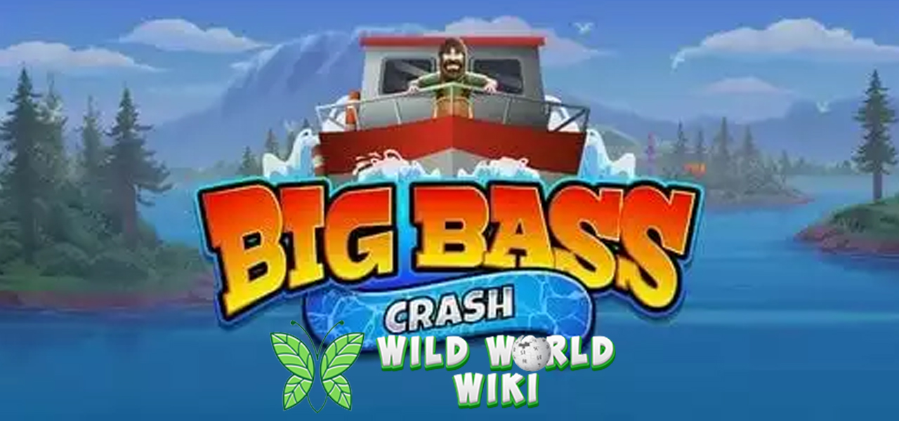Ingin Untung Besar Ala Nelayan Mainkan Big Bass Crash Sekarang