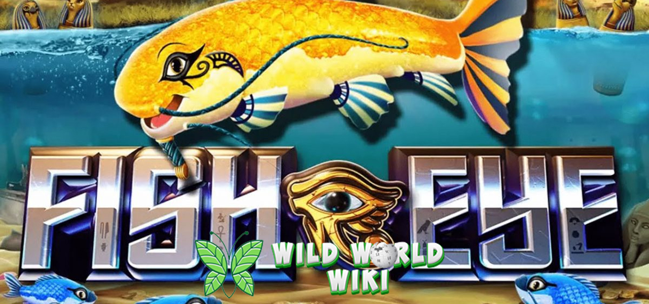 Slot Fish Eye: Peluang Untung Besar yang Tak Boleh Dilewatkan!