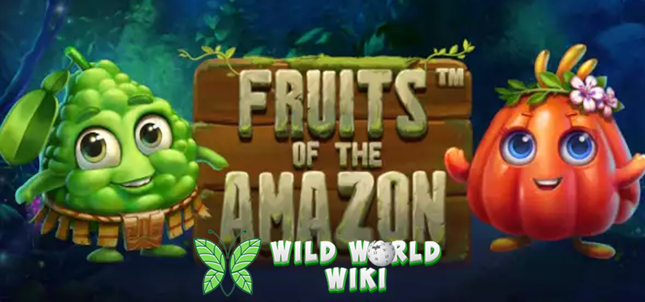Fruits of the Amazon: Kekayaan Tersembunyi di Hutan Tropis Alam!