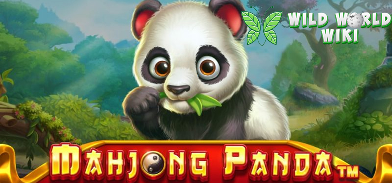 Panda Imut, Cuan Mengalir Deras! Main Mahjong Panda Yuk!