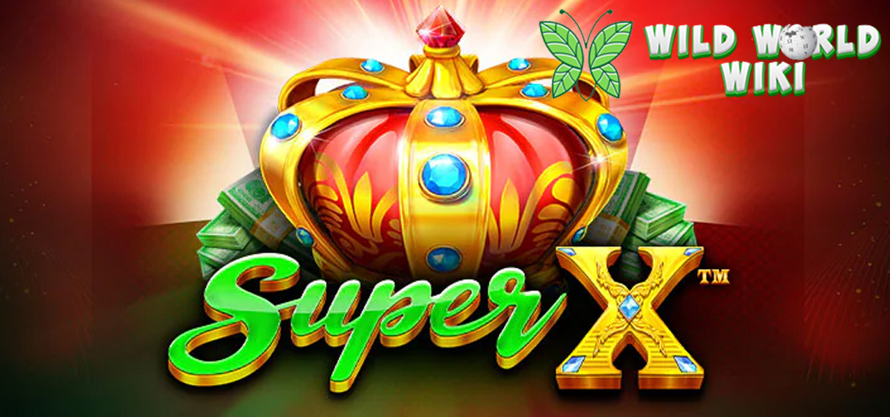Sering Kalah Main Slot? Coba Super X, Buktikan Keberuntungan!