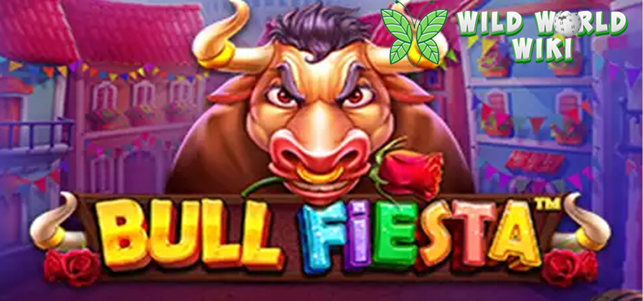 Arena Banteng Gacor: Review Jujur Slot Bull Fiesta Pragmatic Play