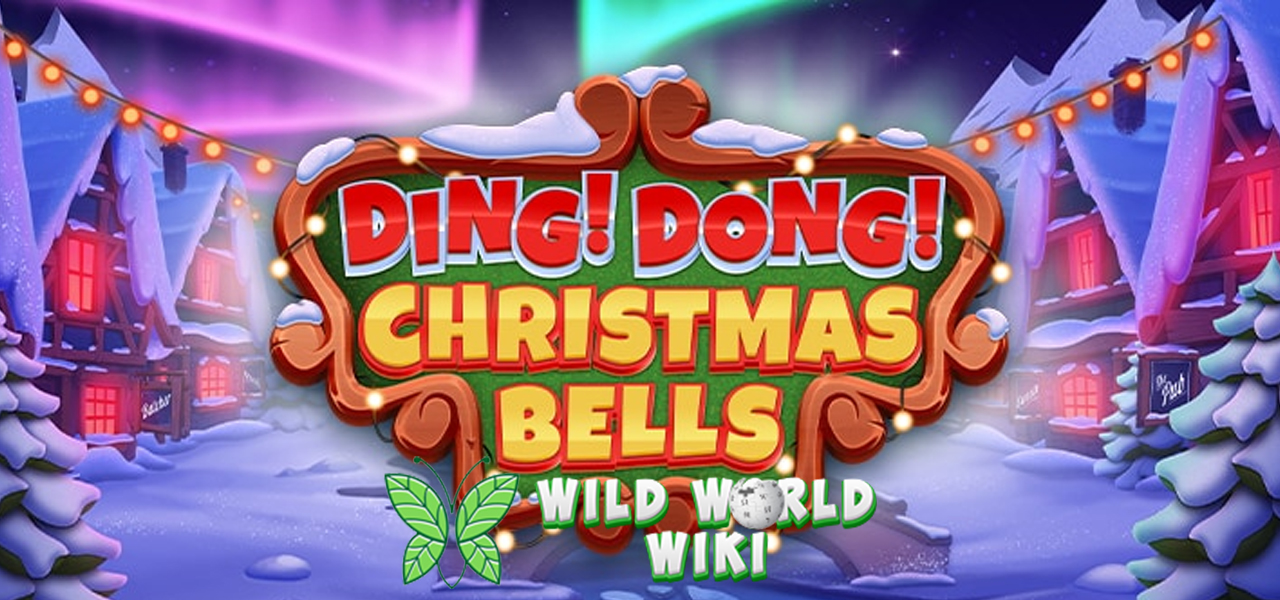 Ding Dong Christmas Bells Membawa Kemenangan Berlipat Ganda