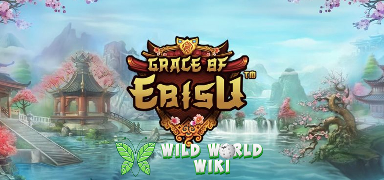 Keberuntungan Tak Terbatas: Coba Slot Grace of Ebisu Sekarang!
