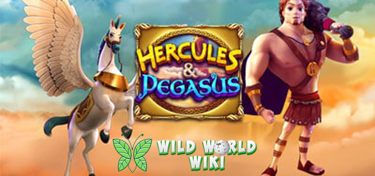 Hercules and Pegasus: Dewa dan Kuda Pembawa Kemenangan!
