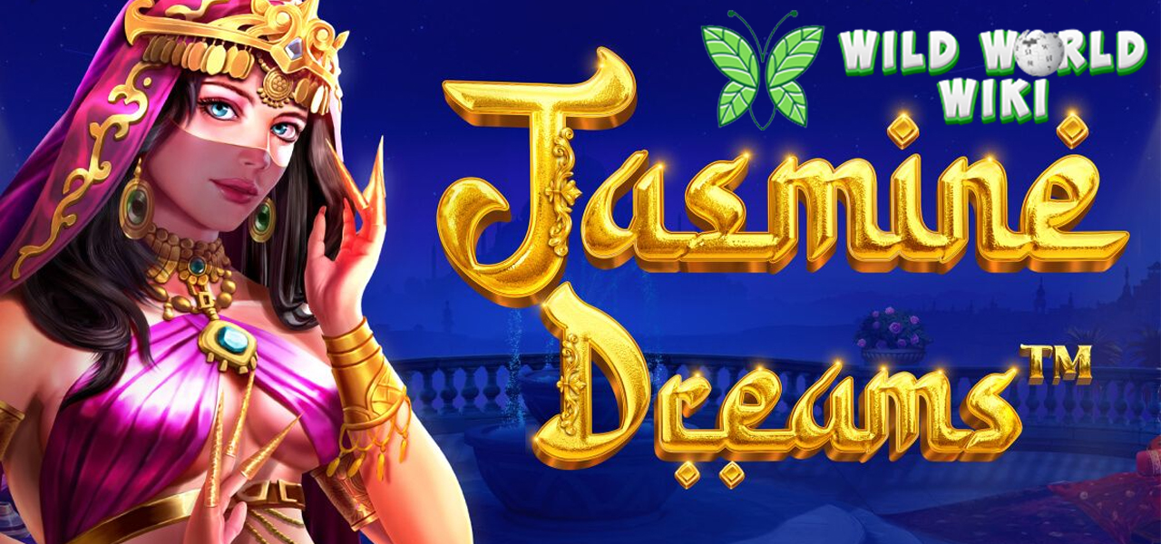 Jasmine Dreams: Berlayar di Lautan Harta Bersama Putri Persia!