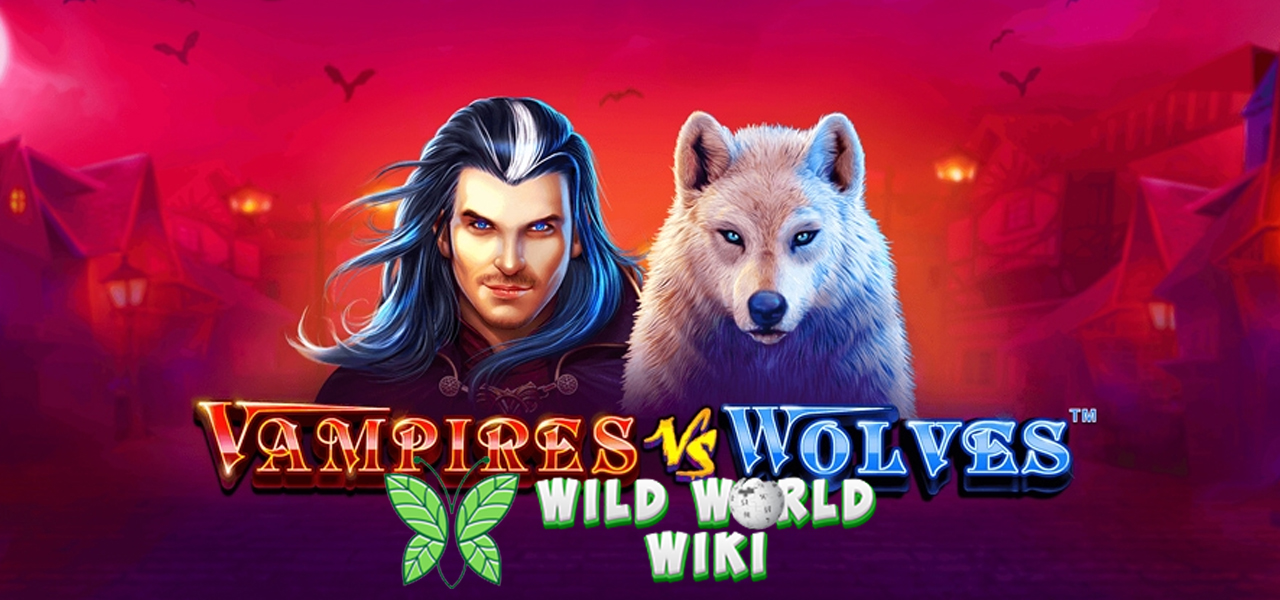 Bisikan Malam: Cara Mudah Kemenangan di Vampires vs Wolves!