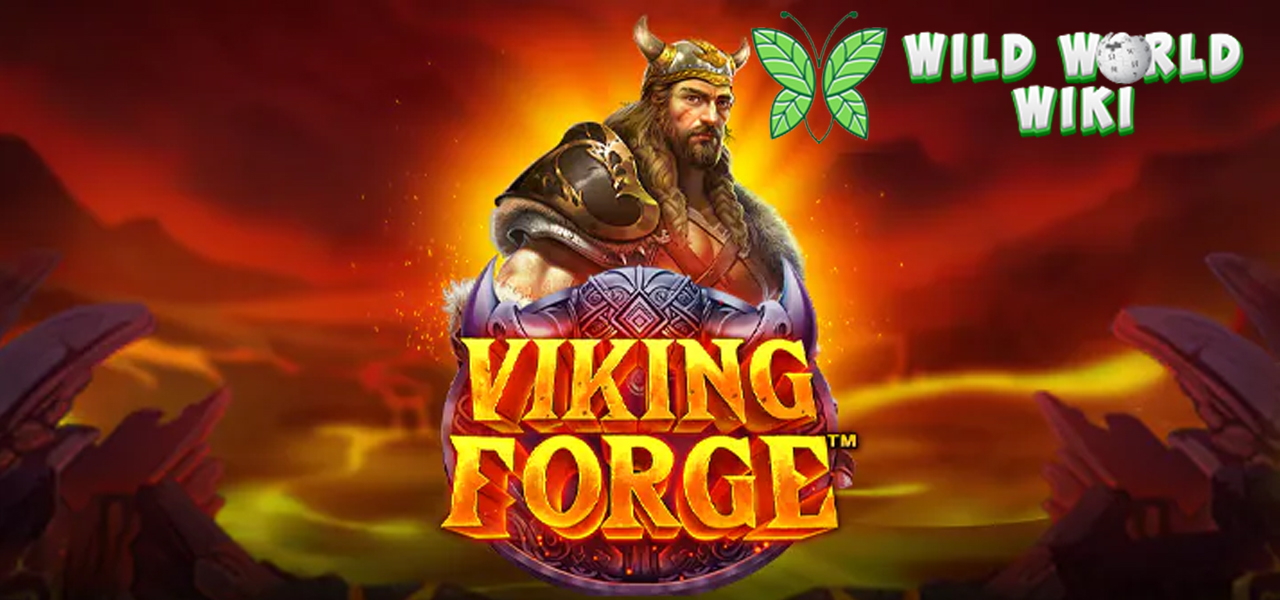Bermain Slot Viking Forge, Untung Ganda dengan Taruhan Hemat!