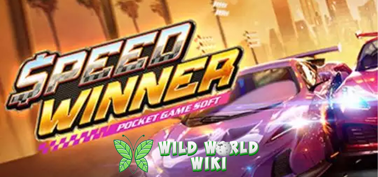Slot Speed Winner Kemenangan Kilat di Link Alternatif Rtp 8000!