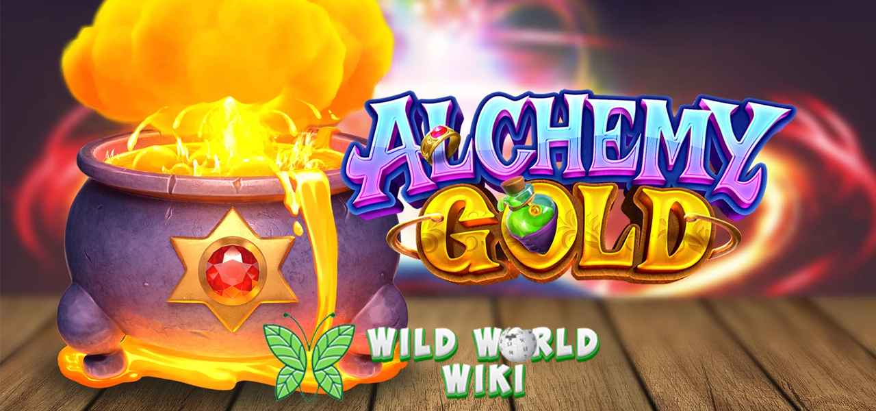 Mengubah Timah Jadi Emas Rahasia Slot Alchemy Gold Terungkap
