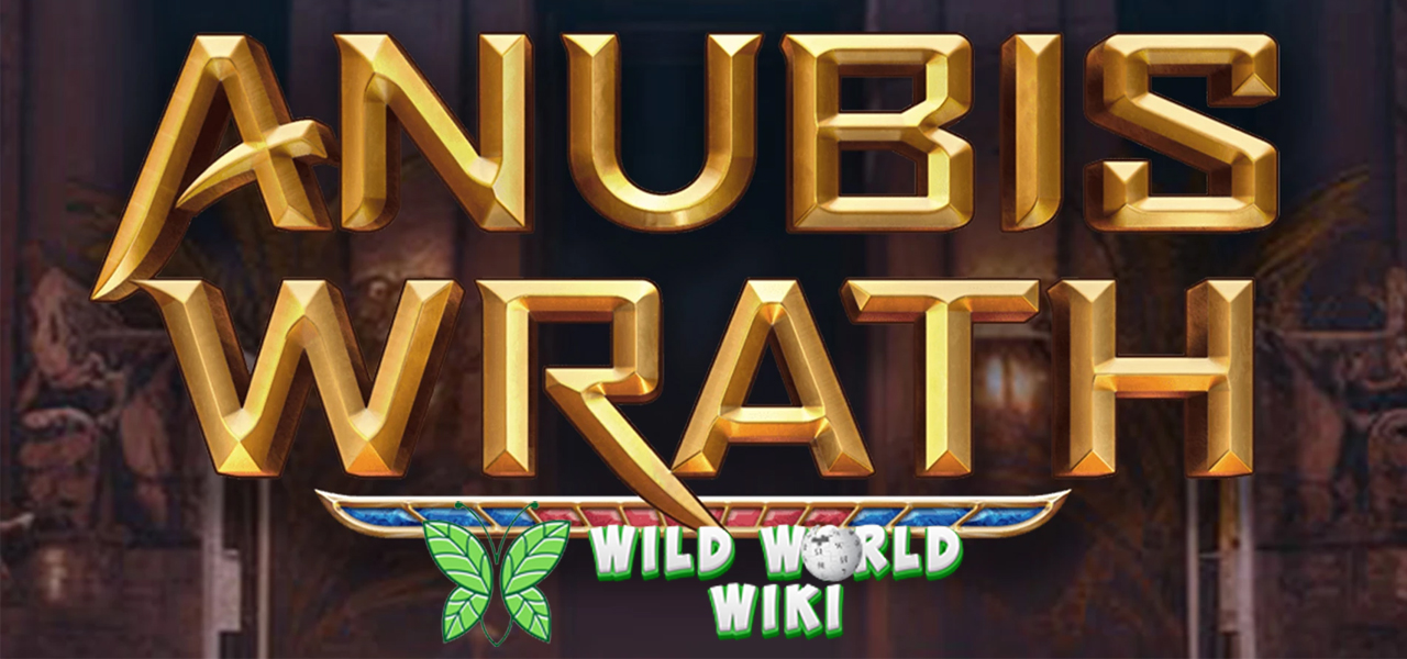 Kepo Sama Kekuatan Anubis Wrath? Slot ini Lagi Panas-Panasnya