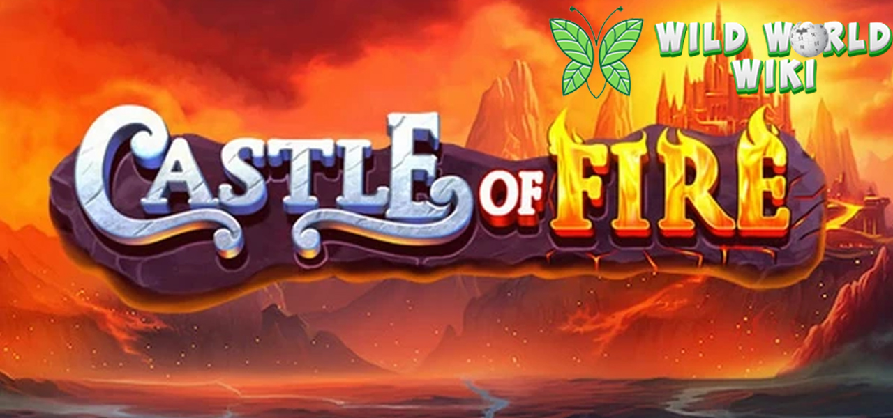 Slot Gacor Castle of Fire Temukan Harta Karun di Kastil Api!