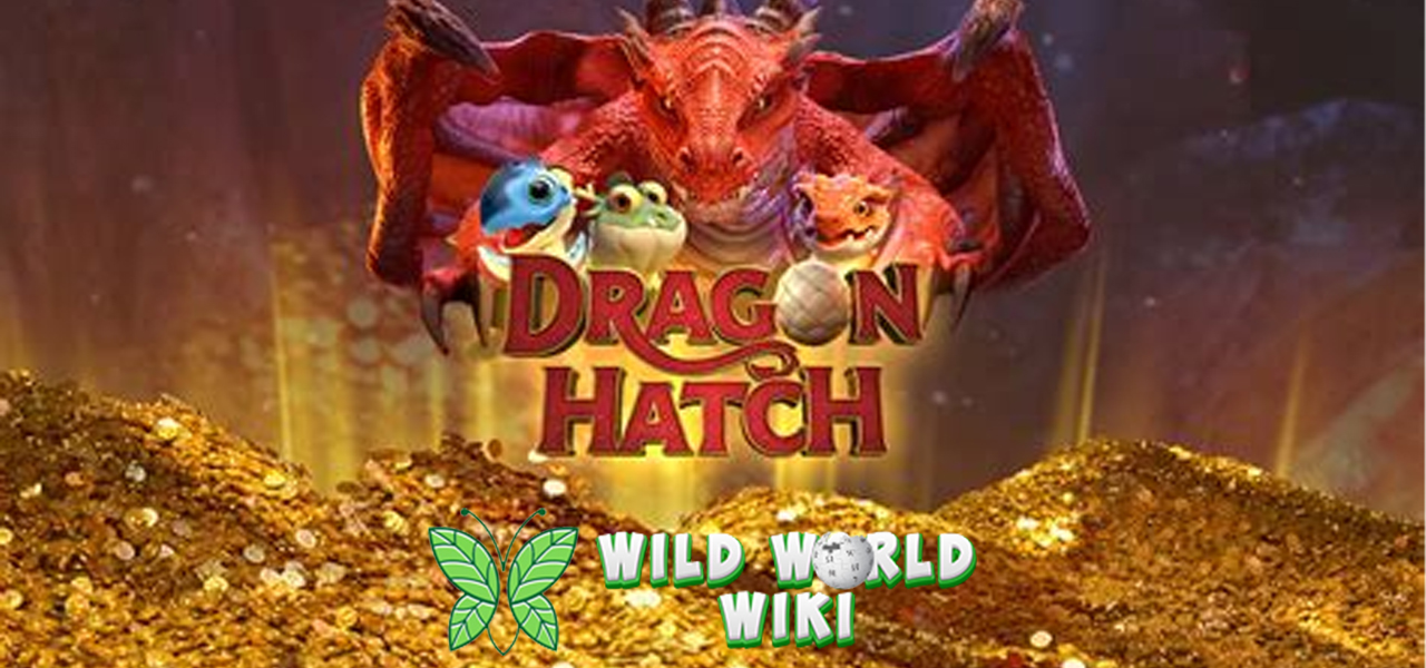 Simfoni Kekuatan Purba: Menjelajahi Magisnya Slot Dragon Hatch!Simfoni Kekuatan Purba: Menjelajahi Magisnya Slot Dragon Hatch!
