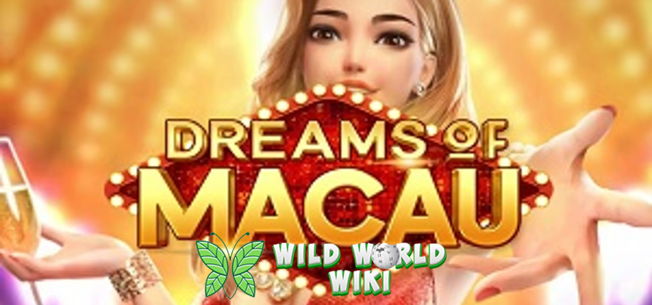 Waktunya Upgrade Slot Dreams of Macau Bikin Mimpi Hidup Lagi!