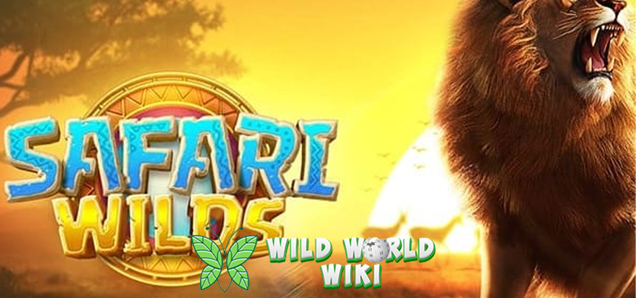 Dompet Digitalmu Beraksi! Deposit QRIS di Slot Gacor Safari Wilds