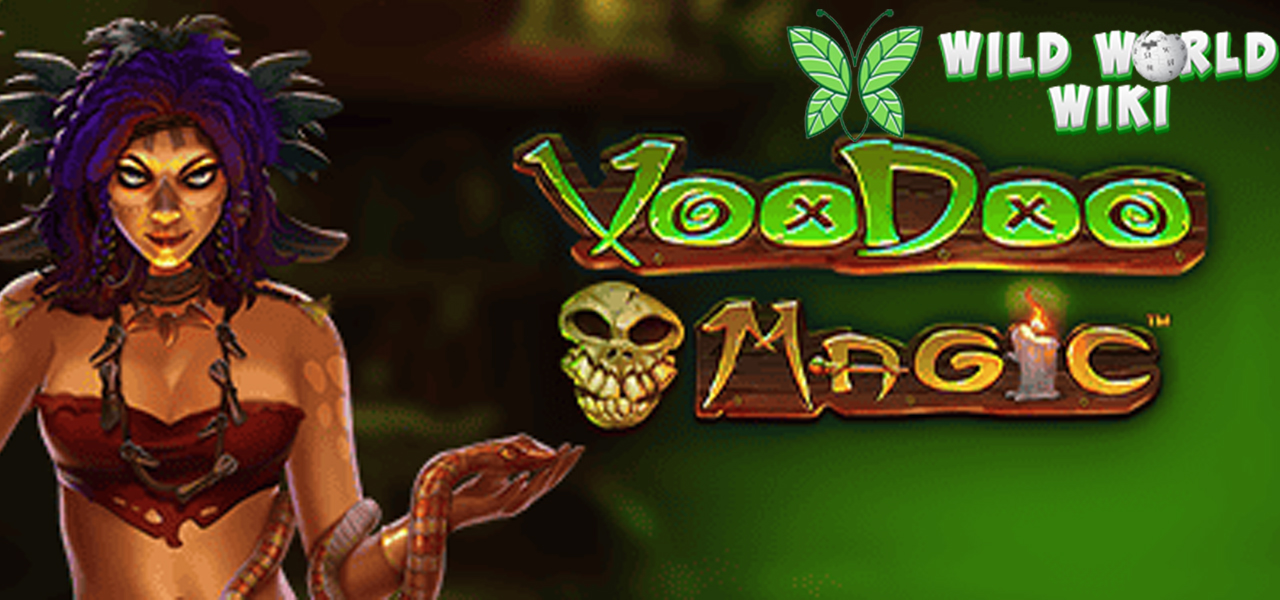 Slot Deposit Dana Voodoo Magic Bikin Seram Jadi Cuan!