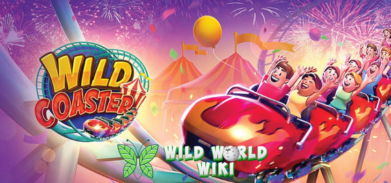 Wild Coaster: Sensasi Kemenangan Ekstrem yang Bikin Melayang!