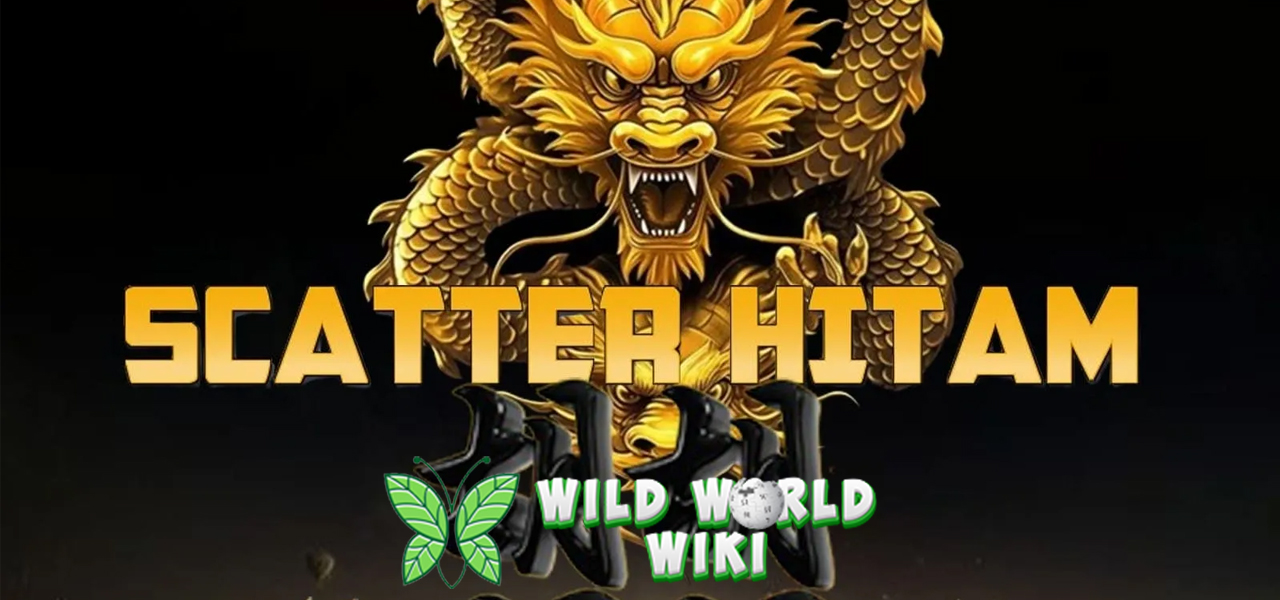 Magnet Baru Pecinta Slot Scatter Hitam dan Sensasi Menggoda!