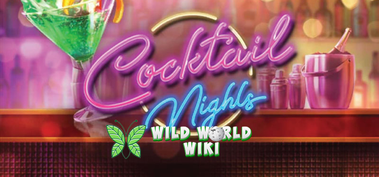 Serunya Cocktail Nights Menanti di Cnn slot Amp Login!