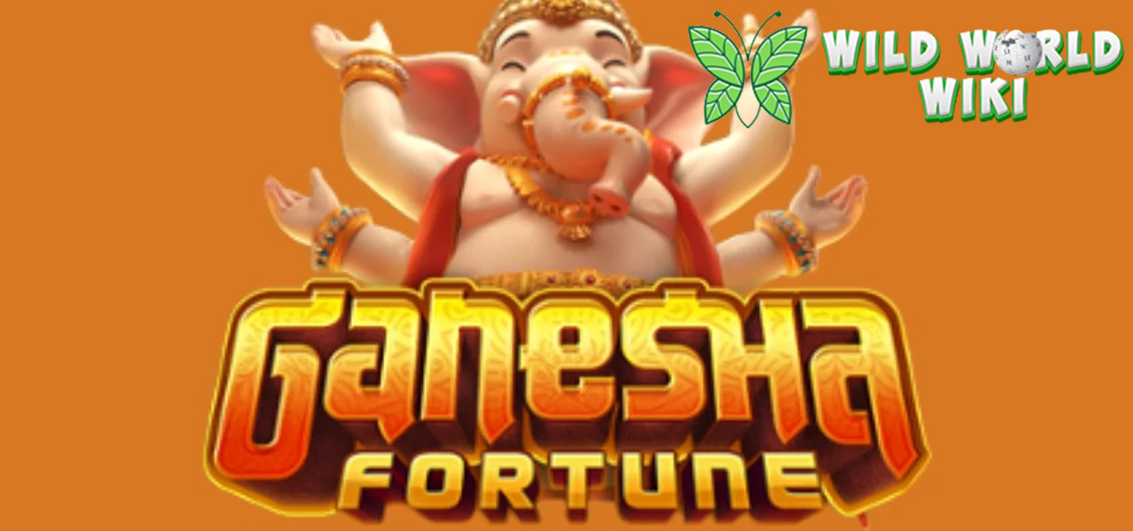 Rasakan Aura Slot Ganesha Fortune Usai Daftar Cnnslot!