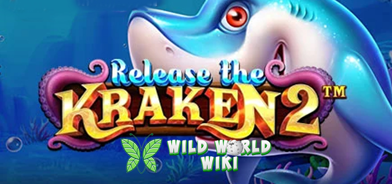 Jelajahi RUBY8000 Fitur Eksklusif di Release The Kraken 2!