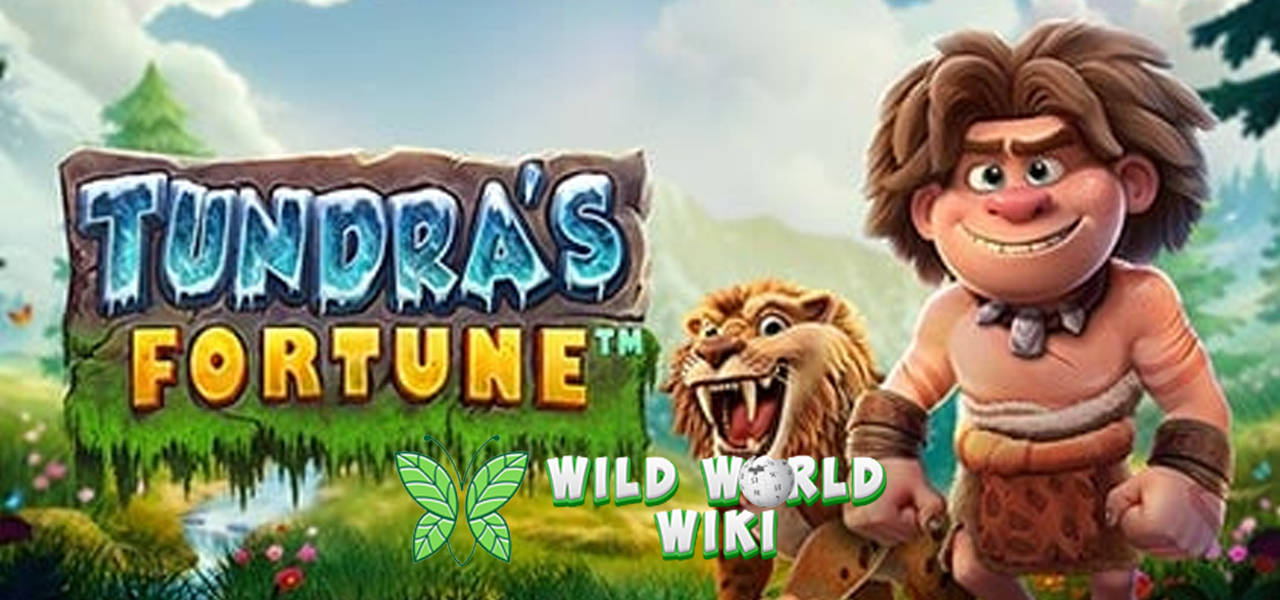 Main Tundra’s Fortune? Login RUBY8000 Biar Gak Ketinggalan