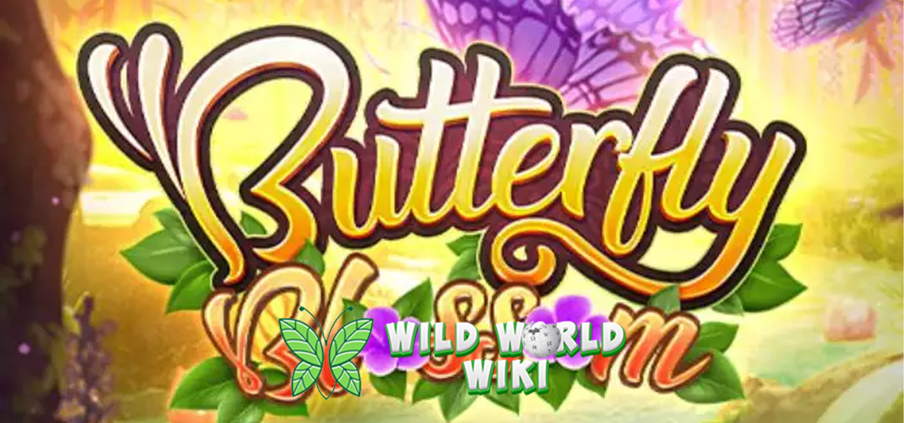Situs Slot Terpercaya Bawa Butterfly Blossom ke Level Baru!