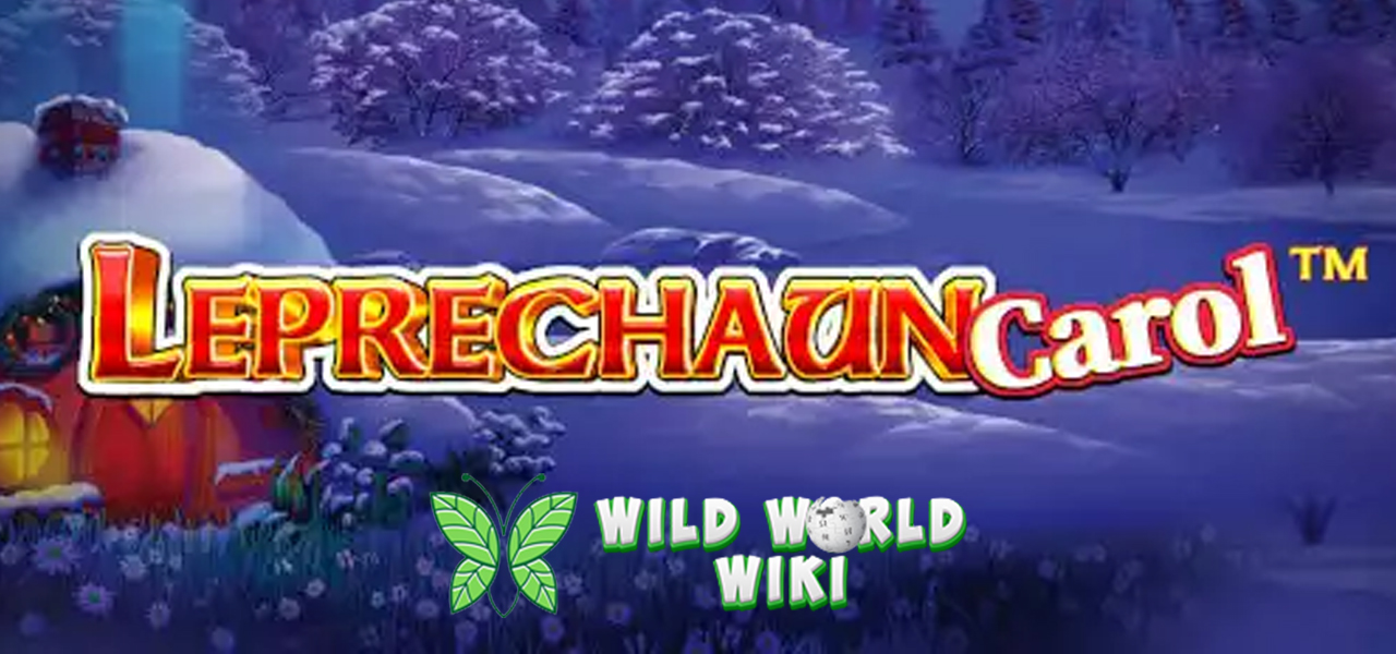 Gas Slot Leprechaun Carol Lewat Link Gacor Terbaru Yuk! 1 Gas Slot Leprechaun Carol Lewat Link Gacor Terbaru Yuk!